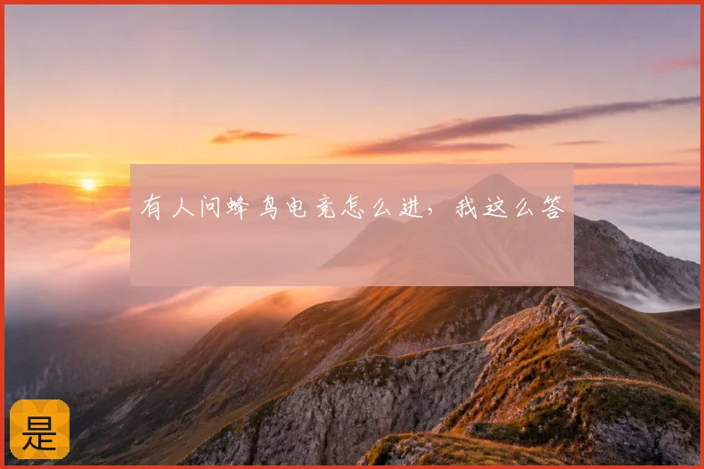 有人问蜂鸟电竞怎么进，我这么答