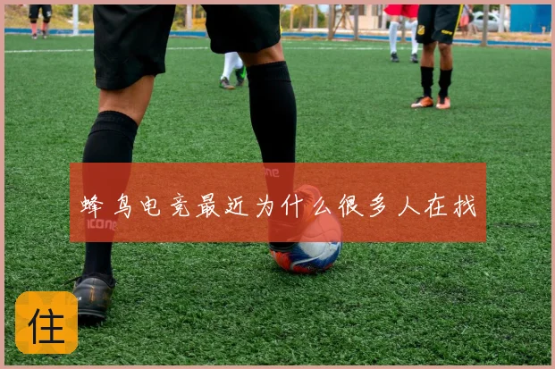 蜂鸟电竞最近为什么很多人在找